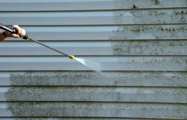 Mold Testing and Removal in Shelbyville, IN