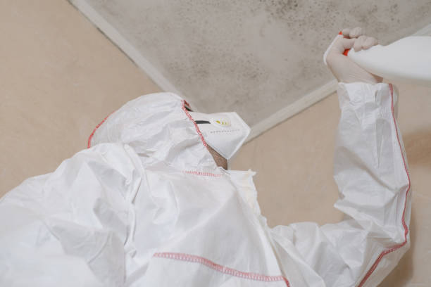 Certified Mold Removal in Shelbyville, IN
